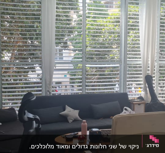 סלון עם ספה, חלונות גדולים, צמחים ועציצים
